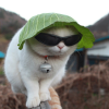 Cb567a cool cat avatar